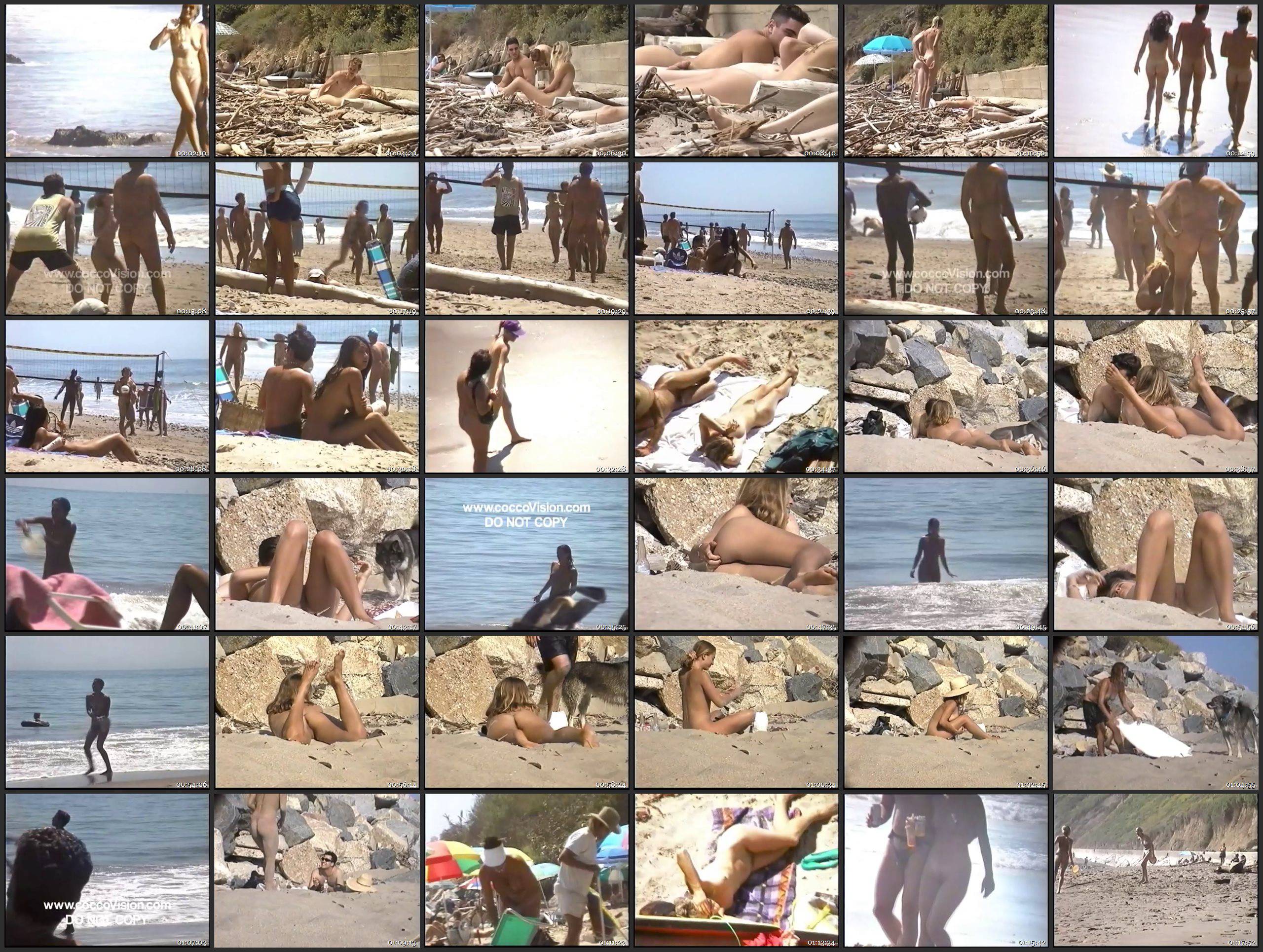 Nudist Videos Brads California Dreamers 1 - Thumbnails