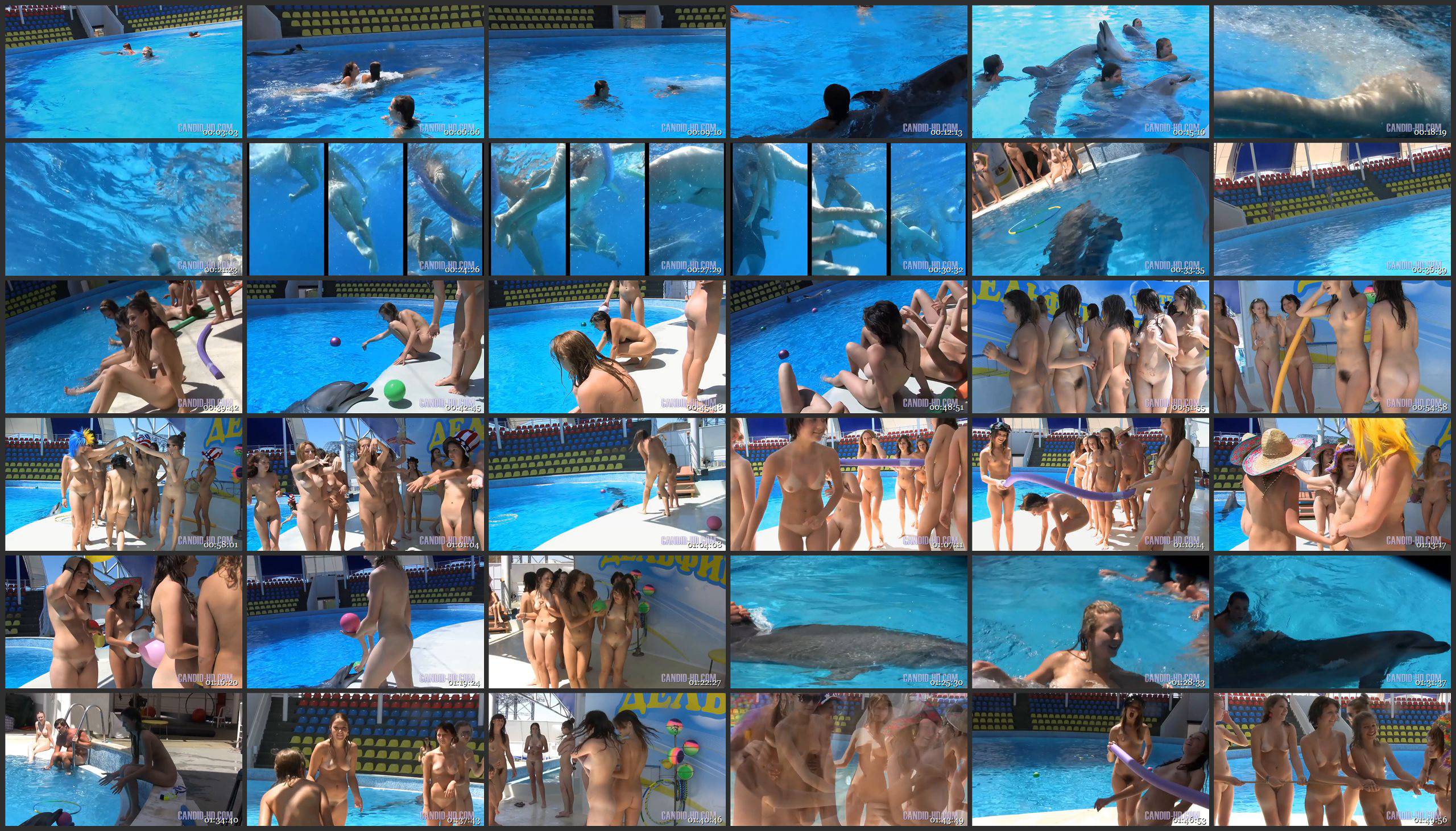 Candid-HD.com Amazing Dolphin Encounter - Thumbnails