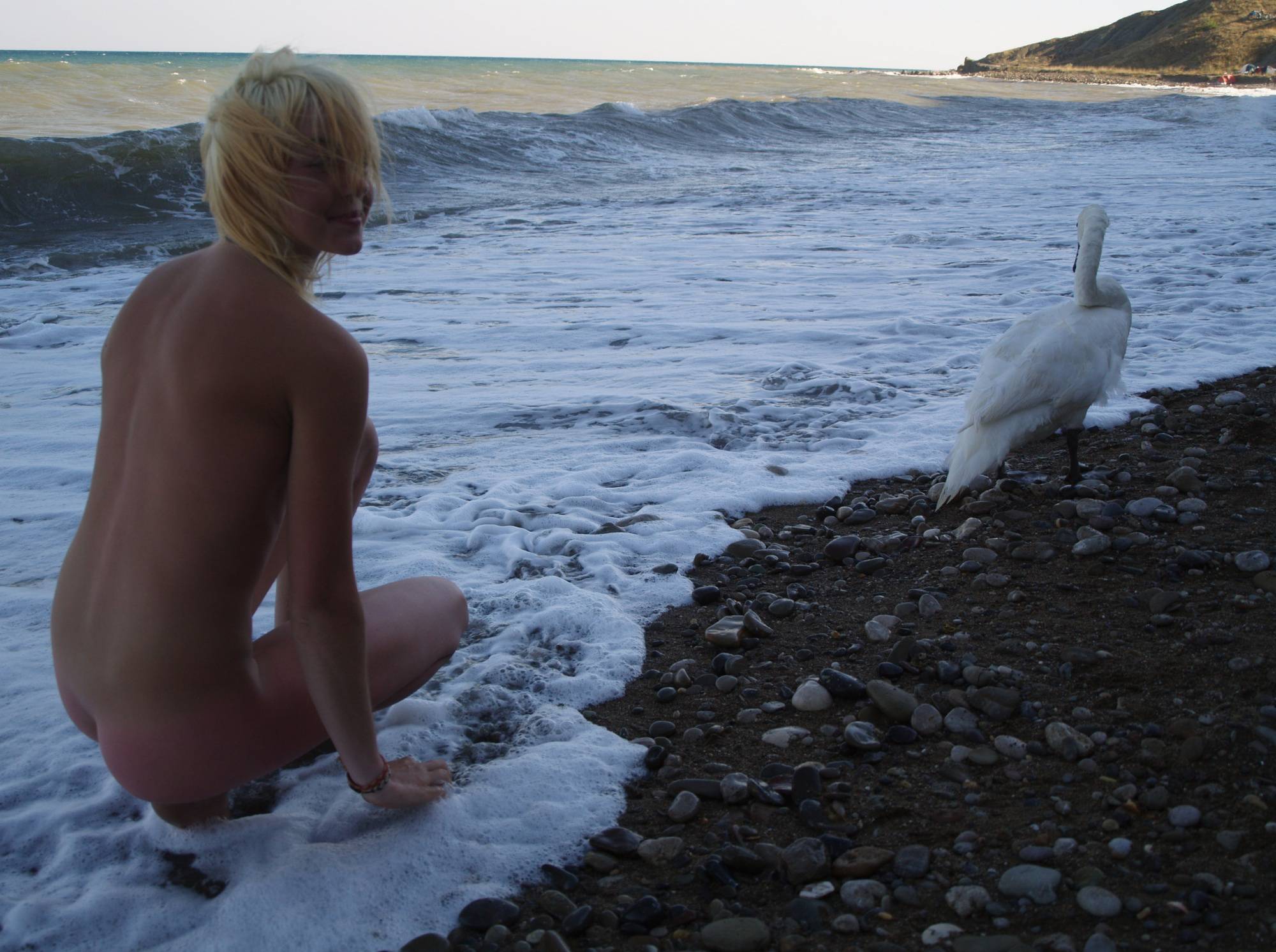 Purenudism Photos Nude Ocean Swan Beauty - 1